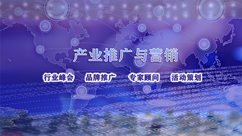 產(chǎn)業(yè)推廣與營(yíng)銷(xiāo)